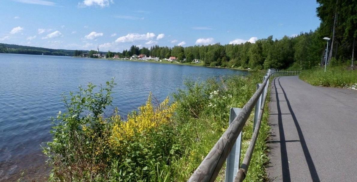 Holiday House Lipno-Slupecna Lipno nad Vltavou Esterno foto