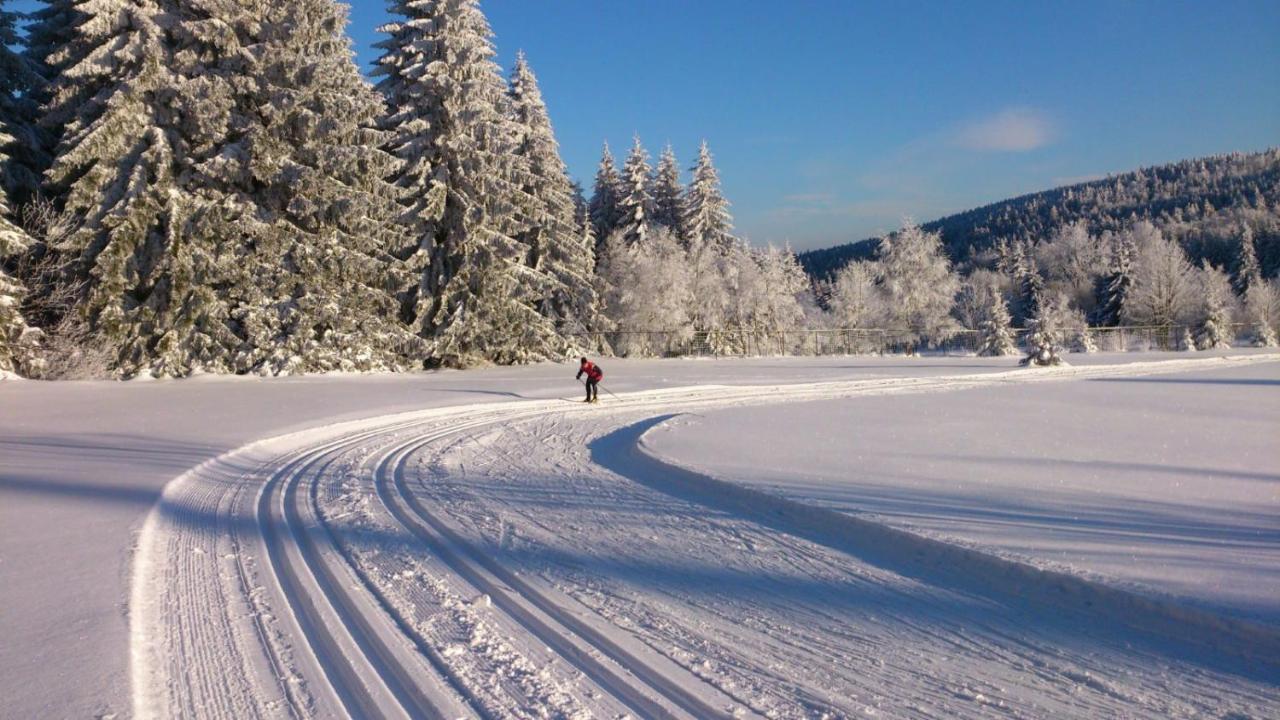 Holiday House Lipno-Slupecna Lipno nad Vltavou Esterno foto
